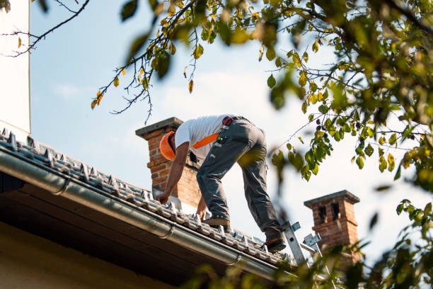 Best Roofing Contractor Near Me  in Portland, MI