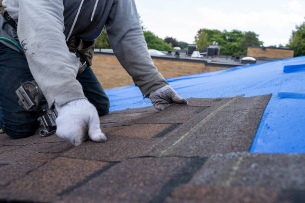Best Roofing Contractor Near Me  in Portland, MI