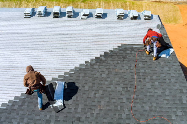 Best Metal Roofing Contractor  in Portland, MI
