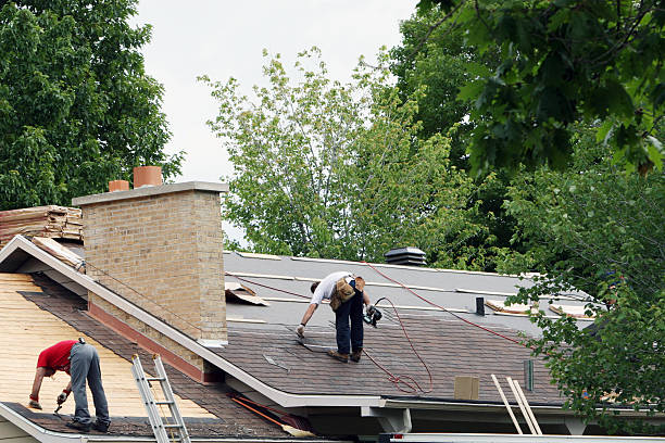 Best Emergency Roof Repair  in Portland, MI