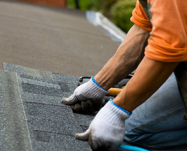Best Roof Leak Repair  in Portland, MI