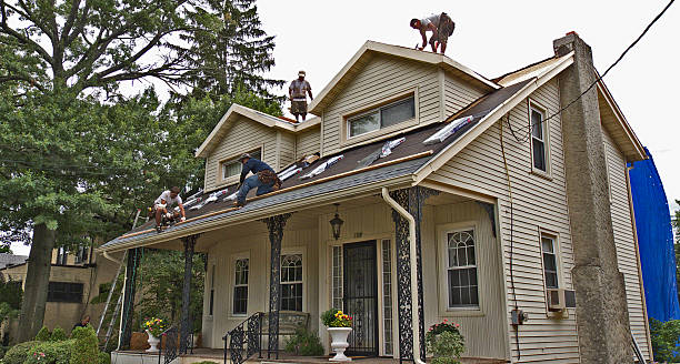 Best Storm Damage Roof Repair  in Portland, MI