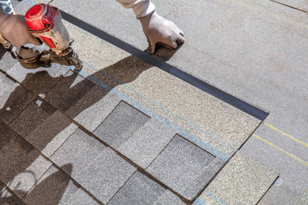 Best Roof Waterproofing Services  in Portland, MI