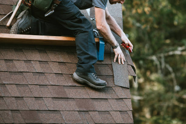 Best Local Roofing Companies  in Portland, MI
