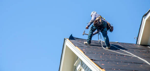 Best Roof Maintenance Services  in Portland, MI