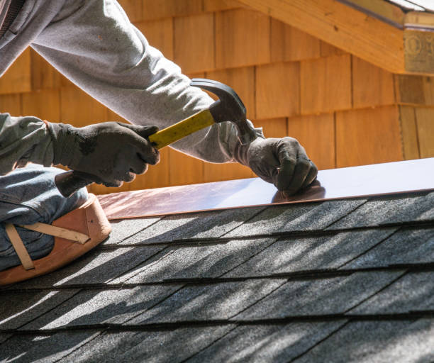 Best Commercial Roofing Services  in Portland, MI